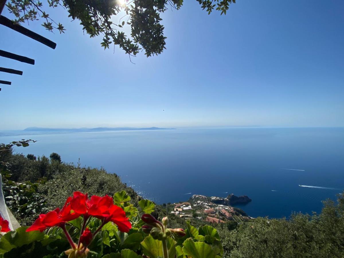 B&B Miramare Agerola Exterior photo